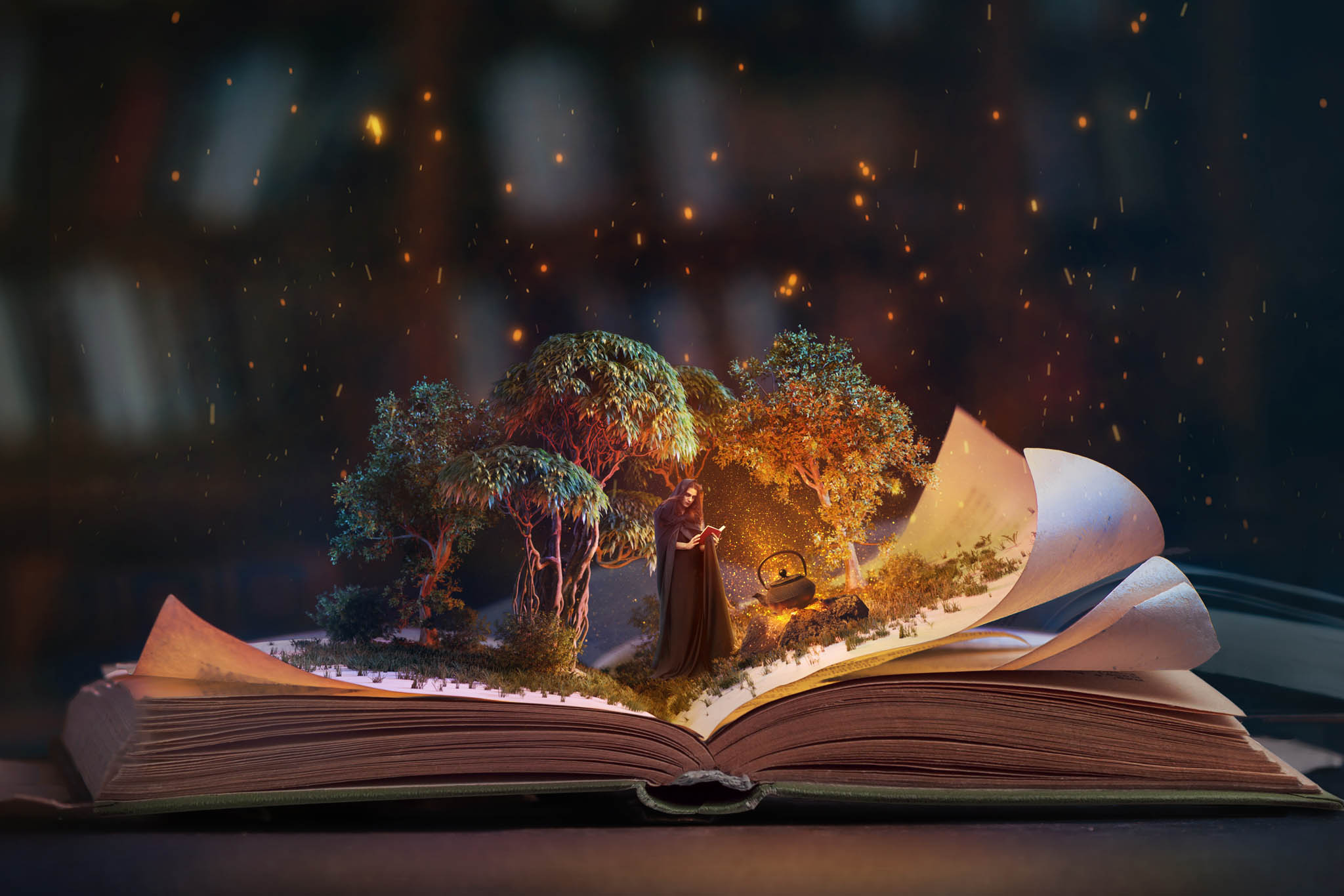 livre conte